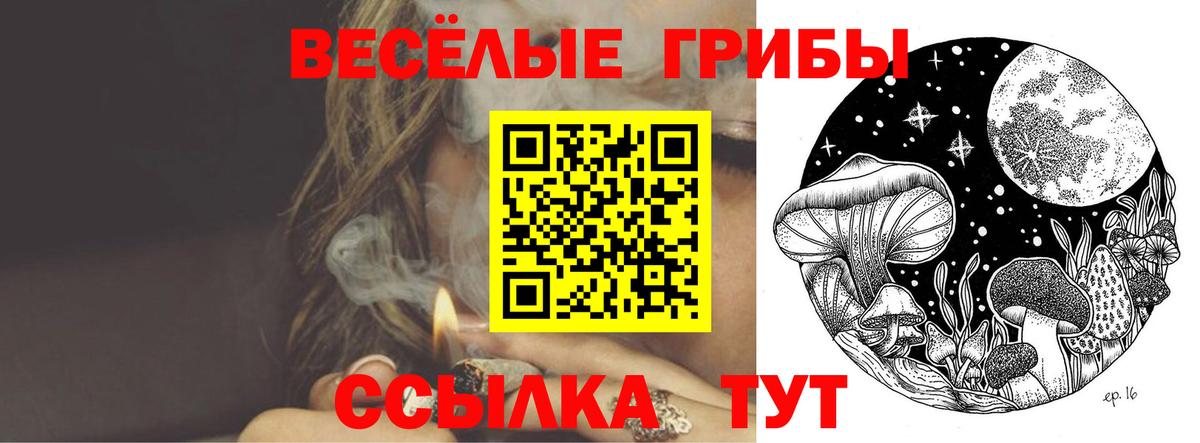 Кыштым  Псилоцибиновые грибы Cubensis  Вход с VPN 